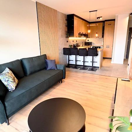 Appartement Cisza Przy Lodzkiej By Rentoom à Stary Toruń Extérieur photo